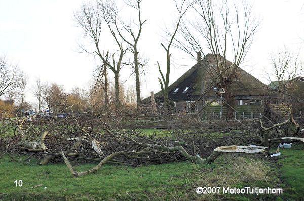 het hout wordt verzamelt op het midden terrein